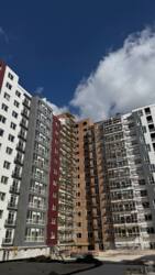 ��������� �������� �����-����������, �����-���������, �����, �������� ���., 444 ���� 4