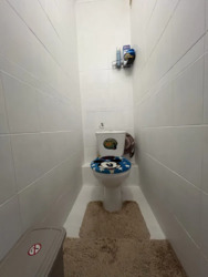   -, -, ,   .  5