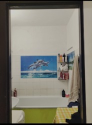 ��������� �������� ��������, �����������, ���������������, �����-���������� ���� 6