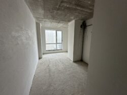 ��������� �������� �����-���������, �����-���������� ���� 15