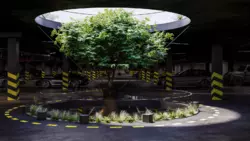 ��������� �������� ����������� ����䳿 ���., �����-���������, �����-����������, ����� ���� 10