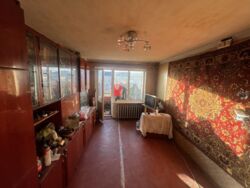 ��������� �������� ��������� �. ���., �����-���������, �����-����������, �������� ���� 1