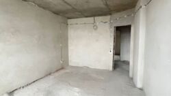 ��������� �������� �����-����������, �����-���������, ���, �������� �. ���. ���� 8