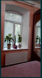 ������ ��������������� �������� � ������ �������� ���� 6