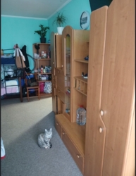 Продам 1-кімнатну квартиру на Новомиколаївці м. Кропивницький фото 5 Продам 1-кімнатну квартиру на Новомиколаївці м. Кропивницький фото 5