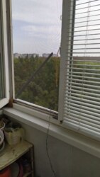 ������ 1-�� ��������� �������� �� ����� ��������� � ������������ ���� 7