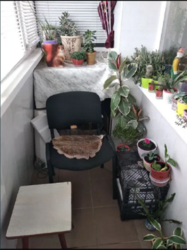 ������ 1-�� ��������� �������� �� ����� ��������� � ������������ ���� 10