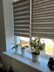 ������ 3� ��������� �������� �� ���������� ���� 12