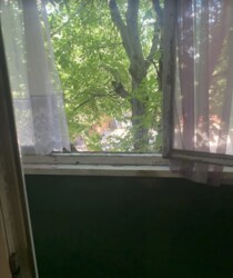 Продам 3 кімнатну квартиру в центрі фото 10 Продам 3 кімнатну квартиру в центрі фото 10