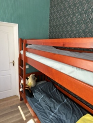 ������ 3� ��������� �������� �� ���������� ���� 10