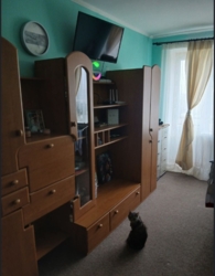 Продам 1-кімнатну квартиру на Новомиколаївці м. Кропивницький фото 2 Продам 1-кімнатну квартиру на Новомиколаївці м. Кропивницький фото 2