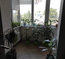 Продам 3-х к. квартиру в ЖК Ковалевском в Кропивницком фото 17 Продам 3-х к. квартиру в ЖК Ковалевском в Кропивницком фото 17