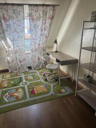 ��������� �������� ����������������, �����, �������, �����������, ���� ����� ���� 20