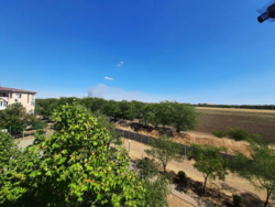 ������� 1 ��������� �������� � �� 7 ���� ��� ������� ���� 5