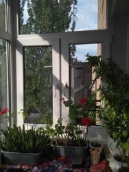 ������ 2� ������� �������� � ������ �� ����� ���� 4