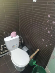 ��������� 2-������� ��������,������������� ���� ���� 12