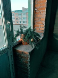 ������ 3� �������� 72.7 ��. � ���. ̳����� � �.���������� ���� 1