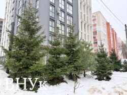 ������ ������ 1-������� �������� � �� �������� ���� 14