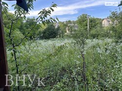 🌳 Затишна дачна ділянка з альтанкою та фруктовими деревами фото 9 🌳 Затишна дачна ділянка з альтанкою та фруктовими деревами фото 9