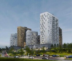 ��������� �������� ��������, ����, ������������� ���� 3