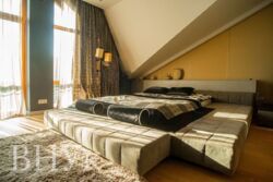 ��������� �������� ������������, �������, ����������� ���� 15