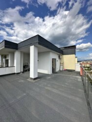 ��������� �������� �������, ������������ ���� 21