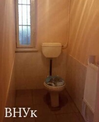 ������ 2-������� �������� � ������������ �������� � ������� ������ � ����� ���� ���� 9