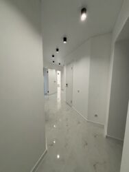 ������ 3 ������� �������� �� ����� ���� 20