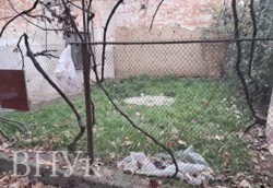 ��������� ������ ���� �������. ���� 7