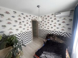 ��������� �������� ��������, ����, ������������� ���� 5