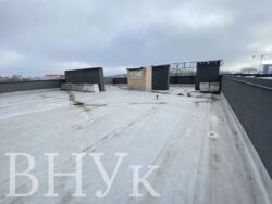 ������ ���������� �������� ������ ����� � ������� ���� 11