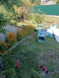 ��������� �������� �������, ������������ ���� 6