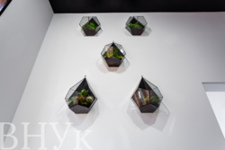 ������ ������� �������� � ����� ������! ���� 4