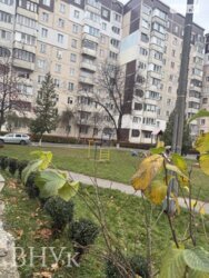 ������, ������ �������������., ������ ����������� �������� ���� 18