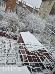 🔥 �Ͳ������ �������ֲ� � ���-����ֲ� ���� 7