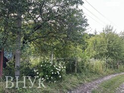 🌳 Затишна дачна ділянка з альтанкою та фруктовими деревами фото 6 🌳 Затишна дачна ділянка з альтанкою та фруктовими деревами фото 6
