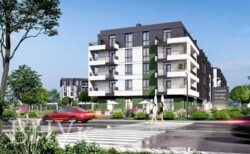 ������ 1-������� �������� � �������� ������ ���� ���� 1