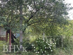 🌳 Затишна дачна ділянка з альтанкою та фруктовими деревами фото 4 🌳 Затишна дачна ділянка з альтанкою та фруктовими деревами фото 4