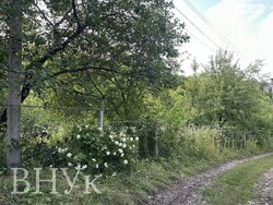 🌳 Затишна дачна ділянка з альтанкою та фруктовими деревами фото 5 🌳 Затишна дачна ділянка з альтанкою та фруктовими деревами фото 5