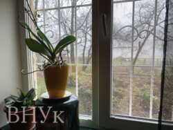 ������ 2-������� �������� � �������� �� ������� ���� 14