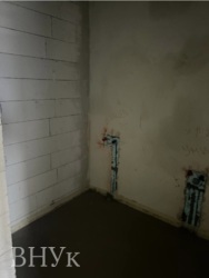 ��������� �������� ������������, �������, �������� ���� 7