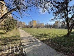 ��������� �������� ������������, �������, 8 ������� ���� 14