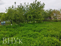 Продам будинок в Гіркій Полонці фото 11 Продам будинок в Гіркій Полонці фото 11