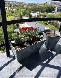 ������ 4� �������� �� ���. ���������� ���� 2