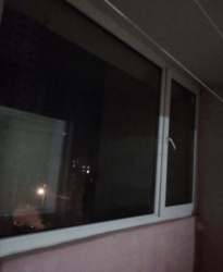 1 ������� �������� ���� 7