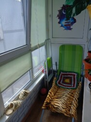 � ����� ���� 1������� �������� � �������� ���� 7