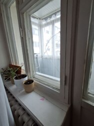 �������� �� �.���� ���� 6