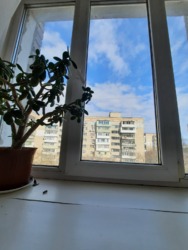 ��������� ���������� �������� � ������� �����,��� ���������� ���� 6