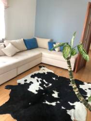 3 ������� �������� � ������� �������� �� ���� � ����. ���� 12