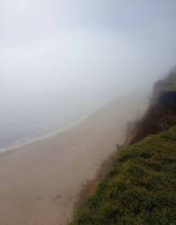 ��������� �������� ���������������, 77�, �����������, �����������, ������� ���� 5